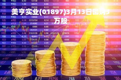美亨实业(01897)3月13日回购3万股