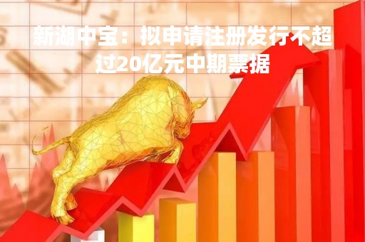 新湖中宝：拟申请注册发行不超过20亿元中期票据
