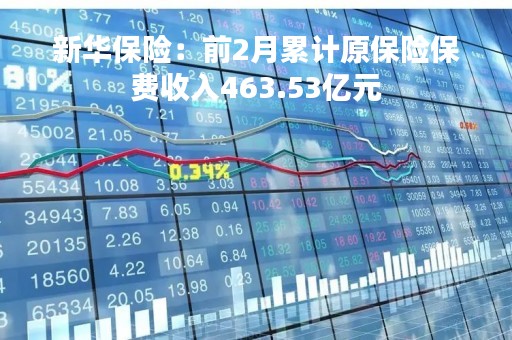 新华保险：前2月累计原保险保费收入463.53亿元