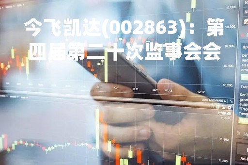 今飞凯达(002863)：第四届第二十次监事会会议决议，审议关于公司为子公司提供担保的议案