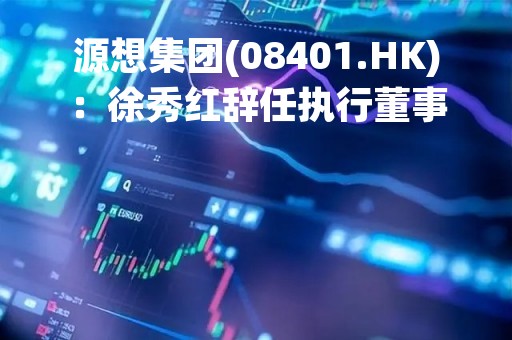 源想集团(08401.HK)：徐秀红辞任执行董事