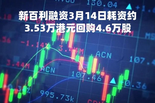 新百利融资3月14日耗资约3.53万港元回购4.6万股