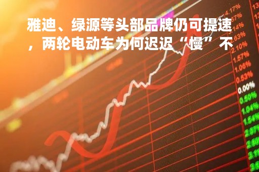 雅迪、绿源等头部品牌仍可提速，两轮电动车为何迟迟“慢”不下来？