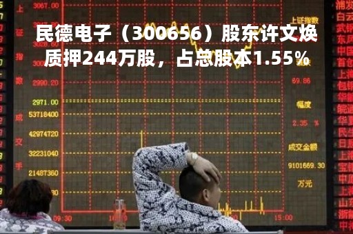 民德电子（300656）股东许文焕质押244万股，占总股本1.55%