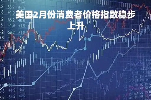 美国2月份消费者价格指数稳步上升