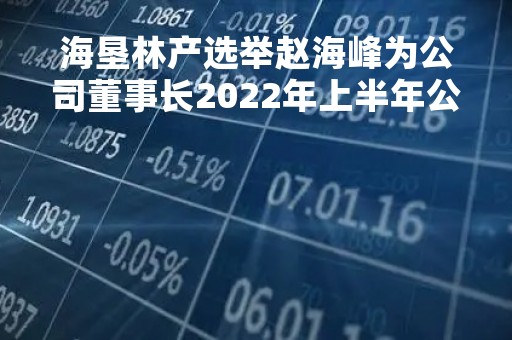 海垦林产选举赵海峰为公司董事长2022年上半年公司亏损730.69万