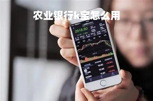 农业银行k宝怎么用