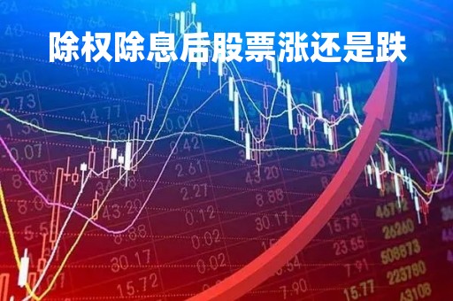 除权除息后股票涨还是跌