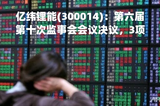 亿纬锂能(300014)：第六届第十次监事会会议决议，3项议案获通过