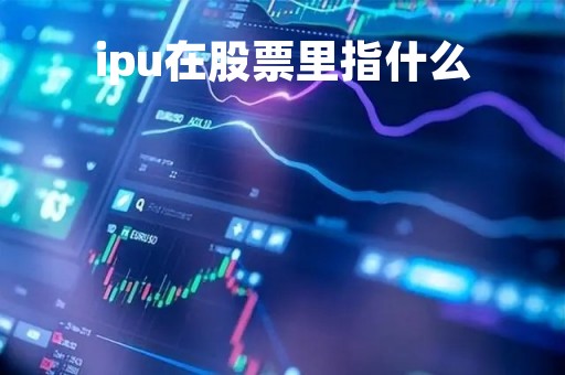 ipu在股票里指什么
