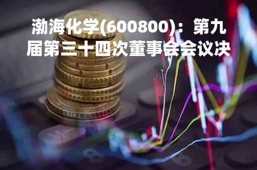 渤海化学(600800)：第九届第三十四次董事会会议决议，审议5项议案获通过