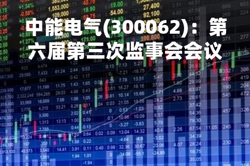 中能电气(300062)：第六届第三次监事会会议决议，10项议案获通过