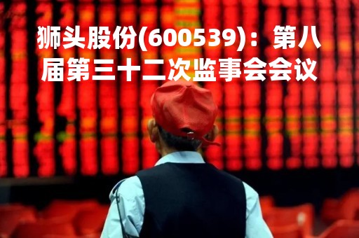 狮头股份(600539)：第八届第三十二次监事会会议决议，2项议案获通过