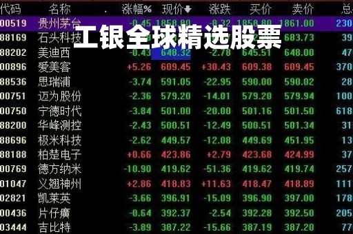 工银全球精选股票