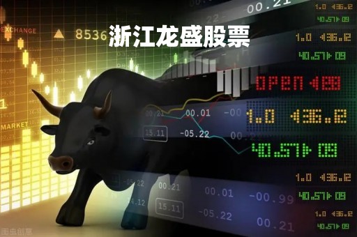 浙江龙盛股票