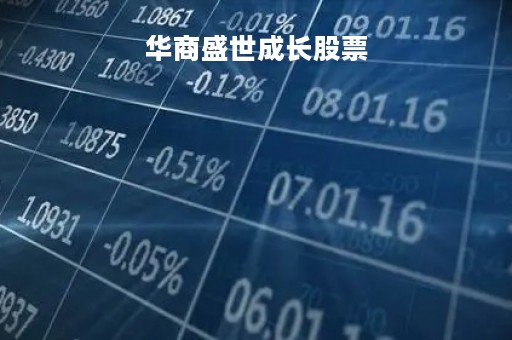 华商盛世成长股票