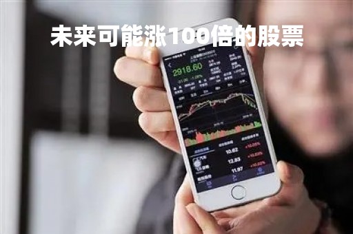 未来可能涨100倍的股票