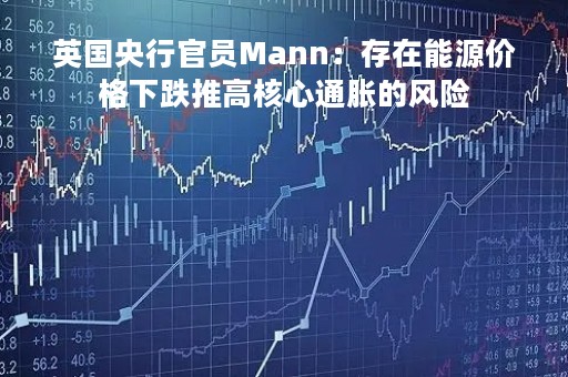 英国央行官员Mann：存在能源价格下跌推高核心通胀的风险