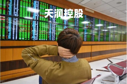 天润控股