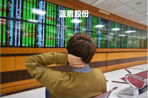 蓝盾股份