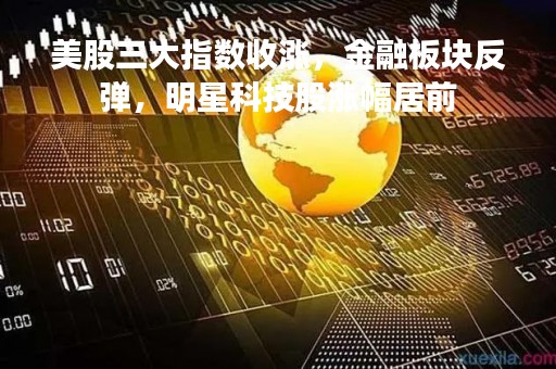 美股三大指数收涨，金融板块反弹，明星科技股涨幅居前
