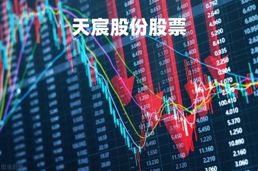 天宸股份股票