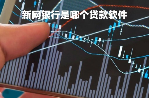 新网银行是哪个贷款软件