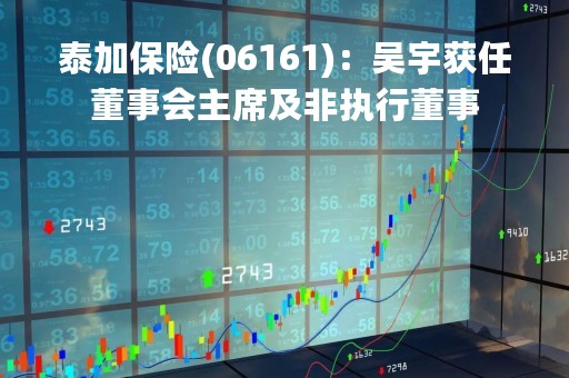 泰加保险(06161)：吴宇获任董事会主席及非执行董事