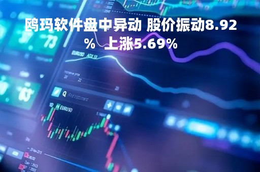 鸥玛软件盘中异动 股价振动8.92%  上涨5.69%