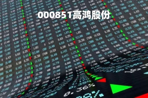 000851高鸿股份