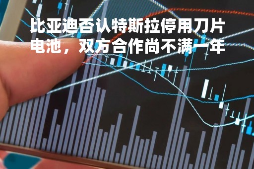 比亚迪否认特斯拉停用刀片电池，双方合作尚不满一年
