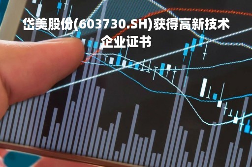 岱美股份(603730.SH)获得高新技术企业证书