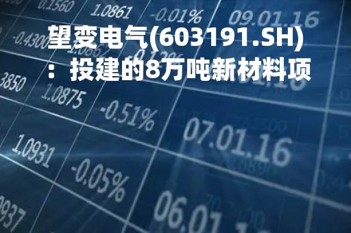 望变电气(603191.SH)：投建的8万吨新材料项目国内设备预计在2023年6月到位