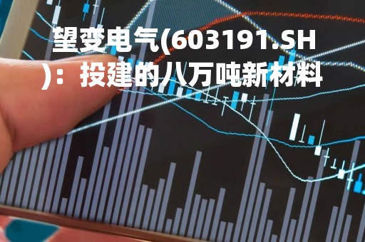 望变电气(603191.SH)：投建的八万吨新材料项目生产线为全HIB投料，旨在生产085及以上牌号的高牌号取向硅钢