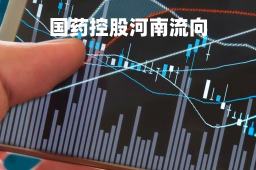 国药控股河南流向
