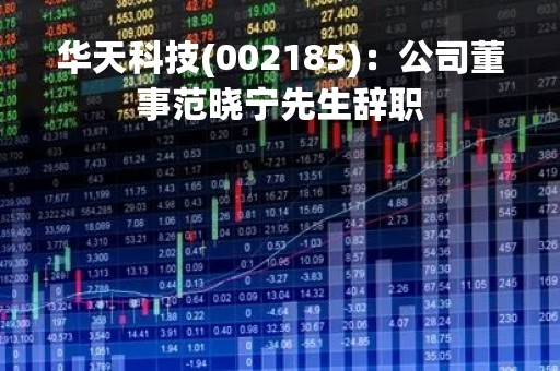 华天科技(002185)：公司董事范晓宁先生辞职