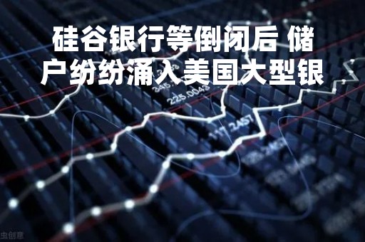 硅谷银行等倒闭后 储户纷纷涌入美国大型银行