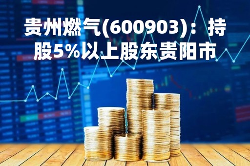 贵州燃气(600903)：持股5%以上股东贵阳市工业投资有限公司部分股份解除质押，剩余被质押股份1.74亿股