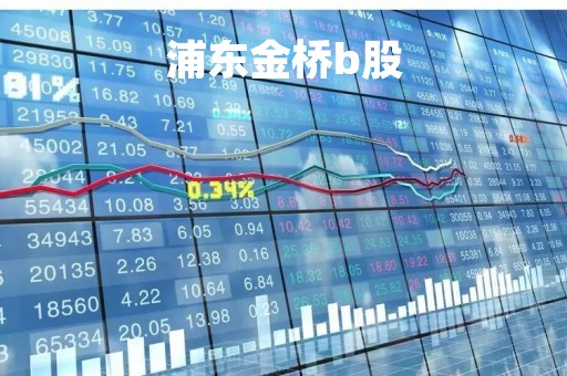 浦东金桥b股