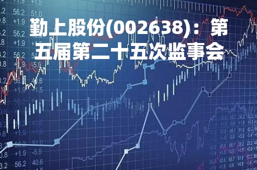 勤上股份(002638)：第五届第二十五次监事会会议决议，7项议案获通过