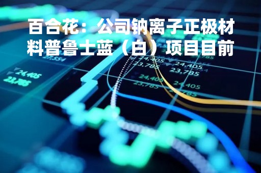 百合花：公司钠离子正极材料普鲁士蓝（白）项目目前处于小试扩大阶段