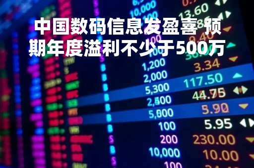 中国数码信息发盈喜 预期年度溢利不少于500万港元