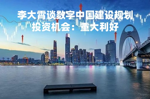 李大霄谈数字中国建设规划投资机会：重大利好