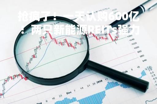 抢疯了！一天认购600亿！两只新能源REITs强力吸金