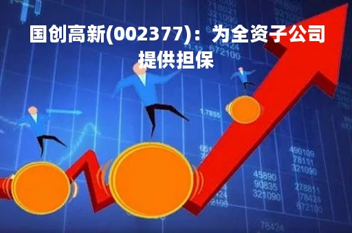 国创高新(002377)：为全资子公司提供担保