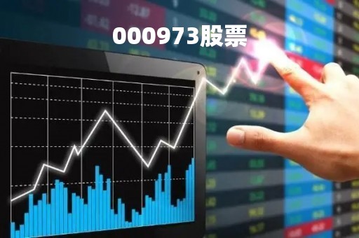 000973股票