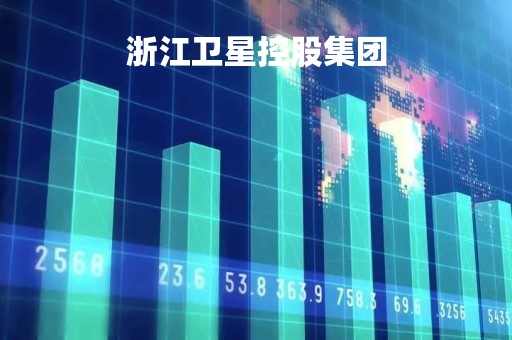 浙江卫星控股集团