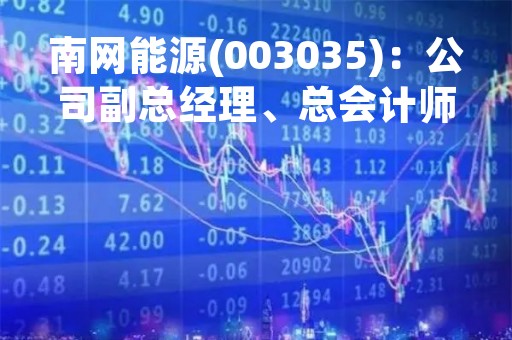 南网能源(003035)：公司副总经理、总会计师韩庆敏先生辞职