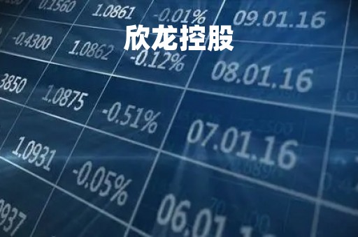 欣龙控股