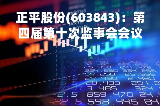 正平股份(603843)：第四届第十次监事会会议决议，审议关于公司符合向特定对象发行股票条件的议案等议案